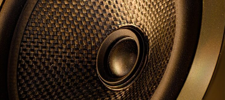 Microphone speaker